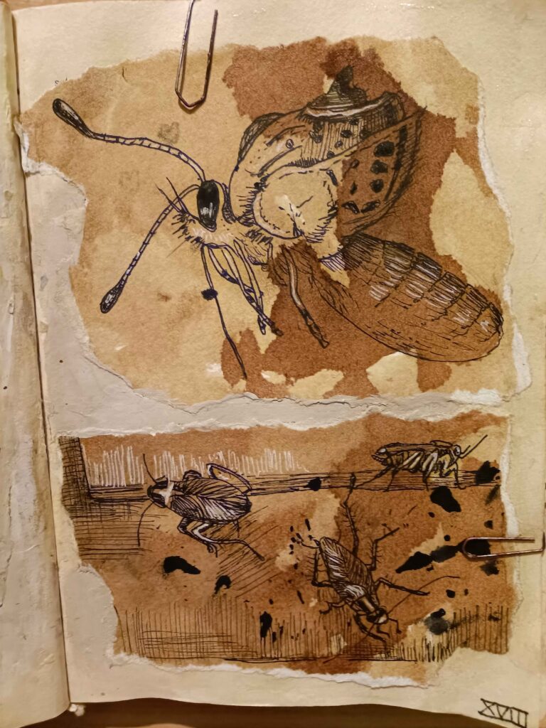 So ein Insekt habe ich noch nie zuvor gesehen.Auf eine merkwürdige Weise hat die Katastrophe die Fauna erweitert.Die Kakerlaken überleben einfach alles. Vielleicht die stärksten Kämpfer der Natur?9 / 20